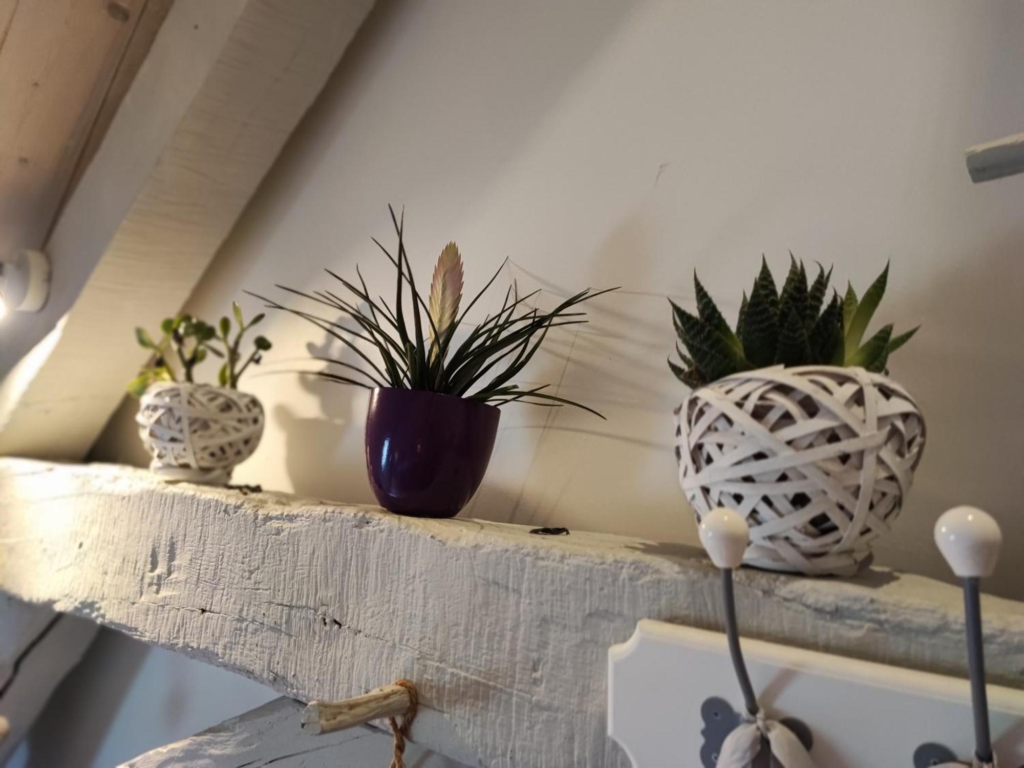 Le Domaine Du Sens Bed & Breakfast Frontenaud Rom bilde